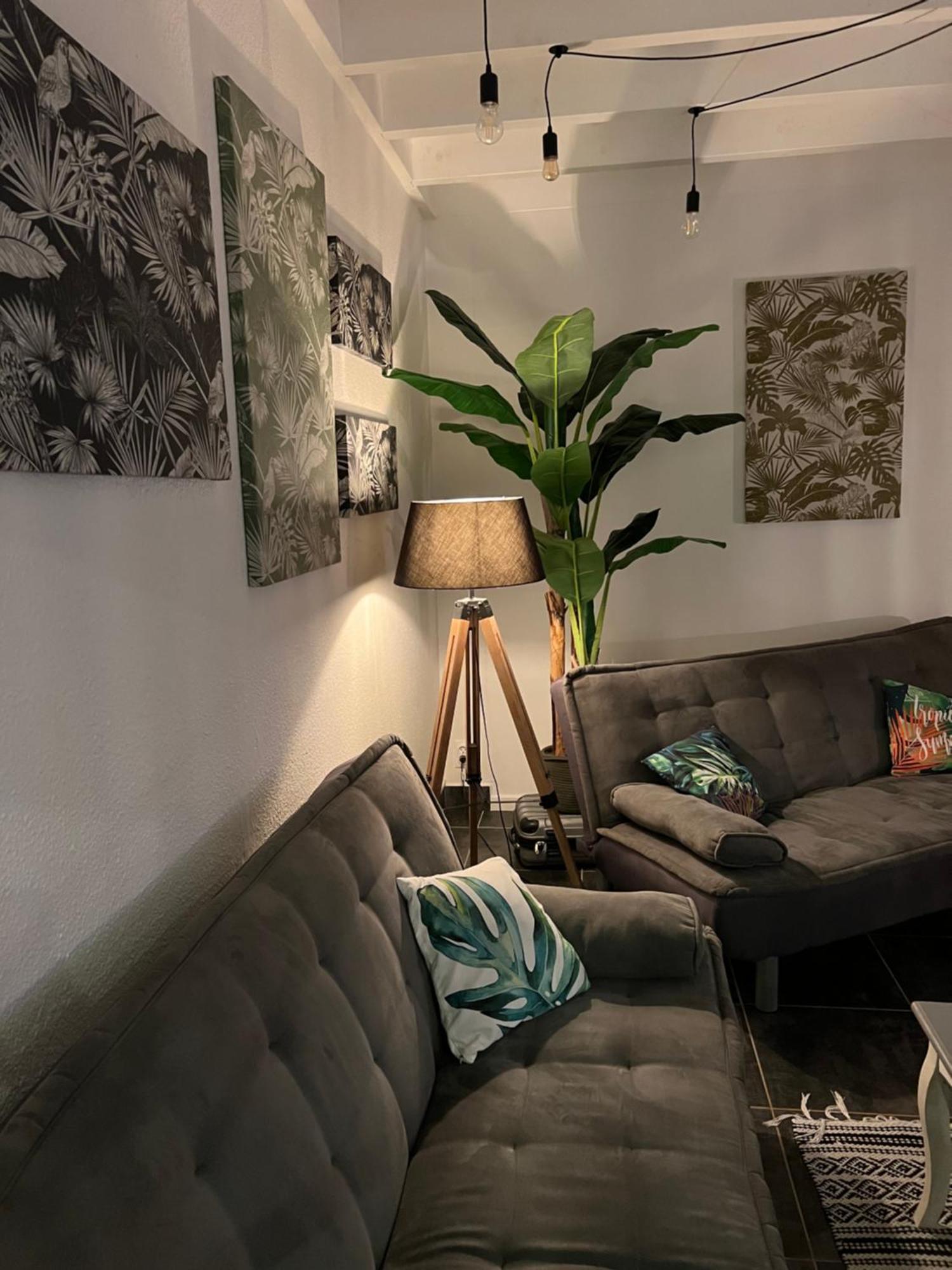 Appartement Spacieux Au Village Du Flamboyant Baie Nettle ภายนอก รูปภาพ